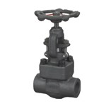 ASTM A105 Globe Valve, API 602, 1 IN, 800 LB, BB, OS&Y, FNPT