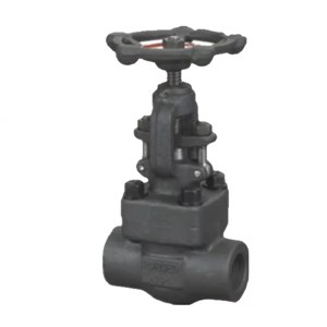 ASTM A105 Globe Valve, API 602, 1 IN, 800 LB, BB, OS&Y, FNPT