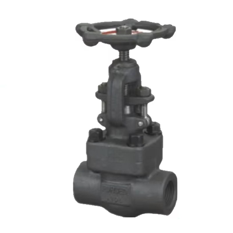 ASTM A105 Globe Valve, API 602, 1 IN, 800 LB, BB, OS&Y, FNPT