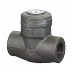 ASTM A105 Piston Check Valve, API 602, 3/4 Inch, CL800, FNPT