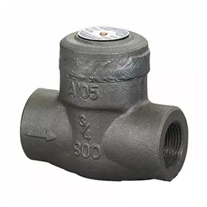 ASTM A105 Piston Check Valve, API 602, 3/4 Inch, CL800, FNPT