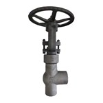 ASTM A105N Angle Globe Valves, API 602, 2 IN, CL2500, PSB