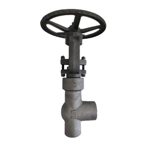 ASTM A105N Angle Globe Valves, API 602, 2 IN, CL2500, PSB