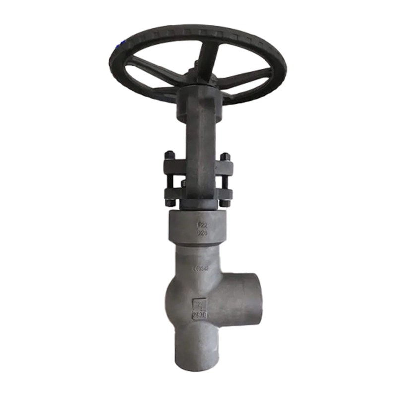 ASTM A105N Angle Globe Valves, API 602, 2 IN, CL2500, PSB