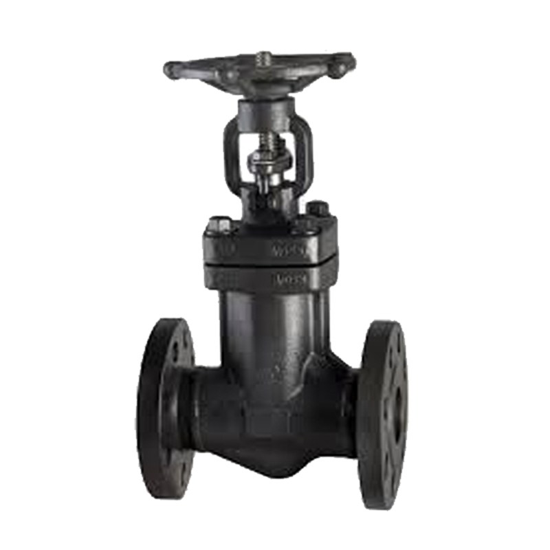 ASTM A105N Bellows Sealed Globe Valve, DIN 3356, 2 IN, CL300