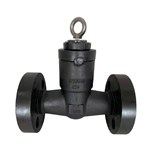 ASTM A105N Check Valve, API 602, 1 Inch, CL1500 LB, RTJ, PSB