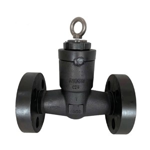 ASTM A105N Check Valve, API 602, 1 Inch, CL1500 LB, RTJ, PSB