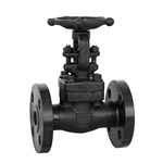 ASTM A105N Gate Valve, API 602, 1 Inch, CL300 LB, BB, RF