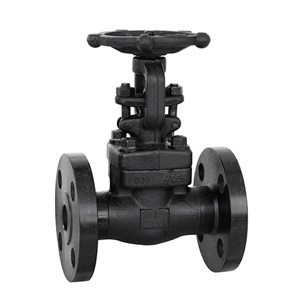 ASTM A105N Gate Valve, API 602, 1 Inch, CL300 LB, BB, RF