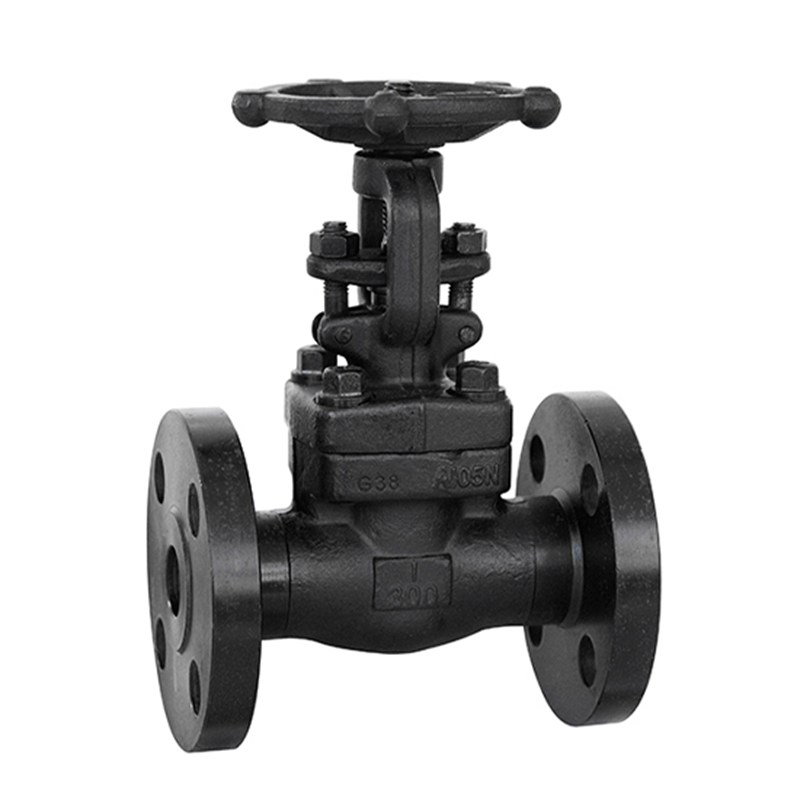 ASTM A105N Gate Valve, API 602, 1 Inch, CL300 LB, BB, RF