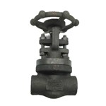 ASTM A105N Gate Valve, ASME B16.34, API 602, 3/4 IN, 800 LB
