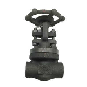 ASTM A105N Gate Valve, ASME B16.34, API 602, 3/4 IN, 800 LB