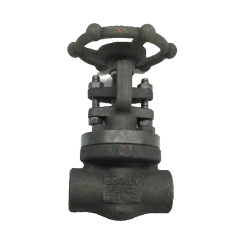 ASTM A105N Gate Valve, ASME B16.34, API 602, 3/4 IN, 800 LB