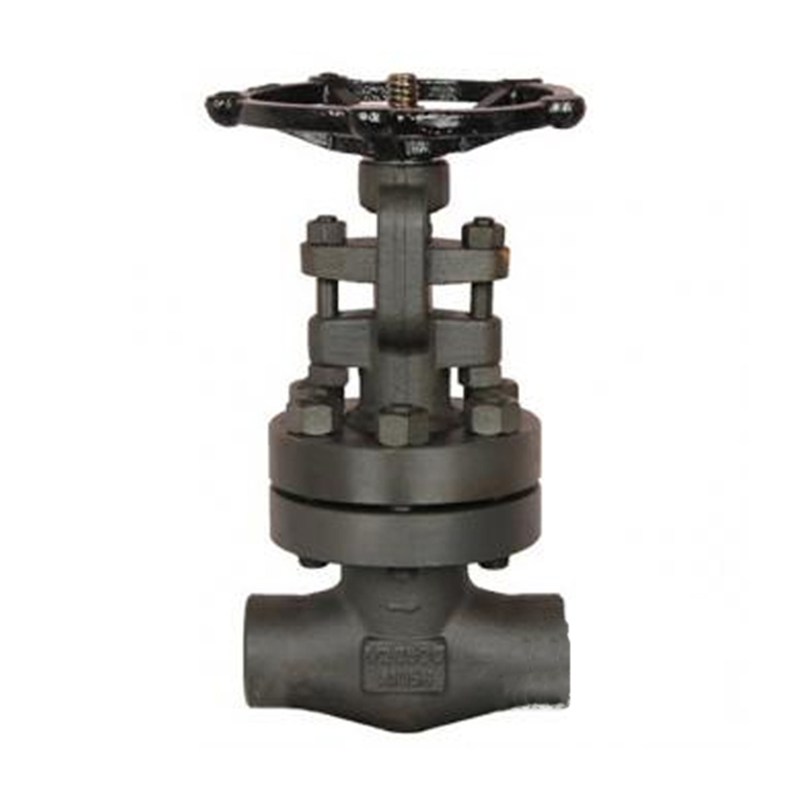 ASTM A105N Gate Valves, API 602, 1/2 Inch, 2500 LB, SW Ends