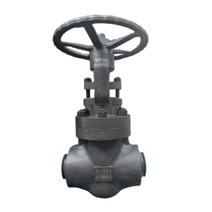 ASTM A105N Globe Valve, API 602, DN50, PN320, 3 Inch, CL1600, BW End