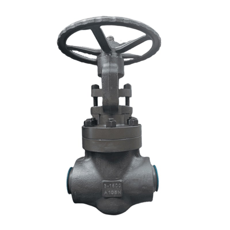 ASTM A105N Globe Valve, API 602, DN50, PN320, 3 Inch, CL1600, BW End