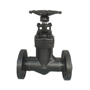 ASTM A105N Globe Valves, API 602, 2 IN, 600 LB, Bellows Seal