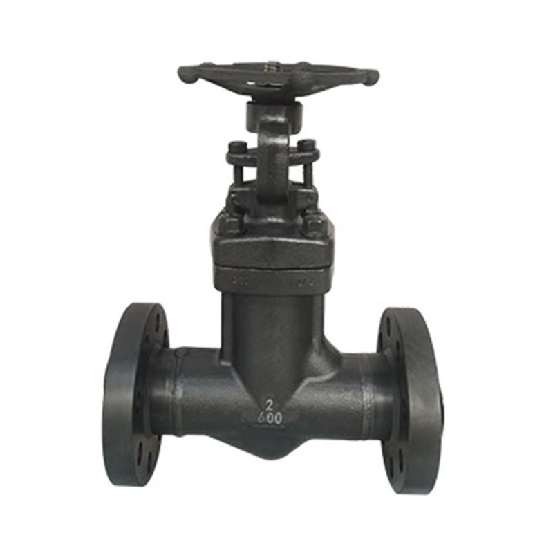 ASTM A105N Globe Valves, API 602, 2 IN, 600 LB, Bellows Seal