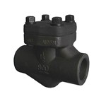 ASTM A105N Lift Check Valves, API 602, 1-1/2 IN, 300 LB, BB, BW