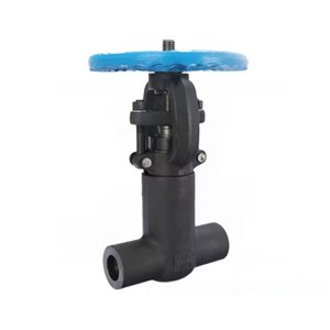 ASTM A105N PSB Gate Valve, API 602, 1 IN, CL2500, Socket Weld