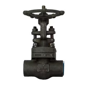 ASTM A182 F11 Gate Valve, API 602, 1 Inch, CL800, SW, BB