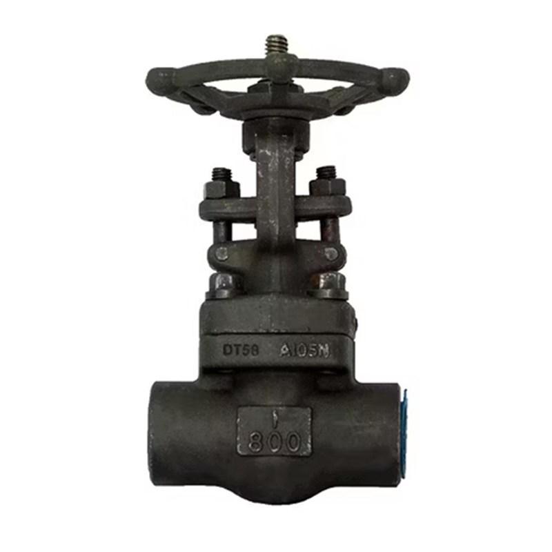 ASTM A182 F11 Gate Valve, API 602, 1 Inch, CL800, SW, BB