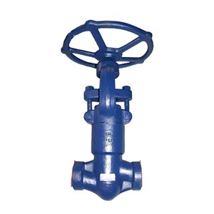 ASTM A182 F12 Globe Valve, API 602, 1 Inch, CL2500, SW Ends