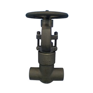 ASTM A182 F22 Gate Valve, API 602, 2 Inch, 1500 LB, PSB, SW