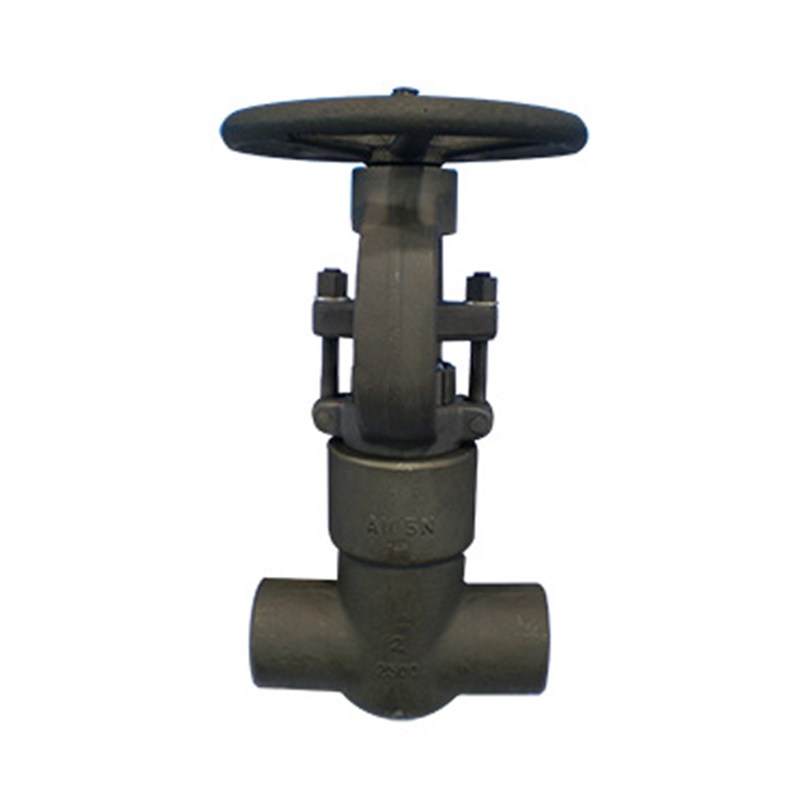 ASTM A182 F22 Gate Valve, API 602, 2 Inch, 1500 LB, PSB, SW