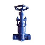 ASTM A182 F22 Globe Valve, API 602, 1/2-3/8 Inch, 2500 LB, BW, PSB