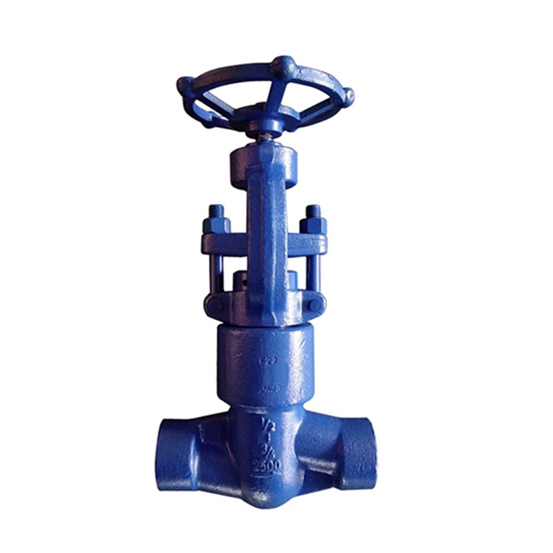 ASTM A182 F22 Globe Valve, API 602, 1/2-3/8 Inch, 2500 LB, BW, PSB