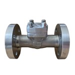 ASTM A182 F304 Check Valves, API 602, DN100, PN25, RTJ
