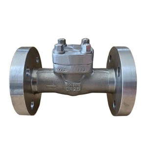 ASTM A182 F304 Check Valves, API 602, DN100, PN25, RTJ