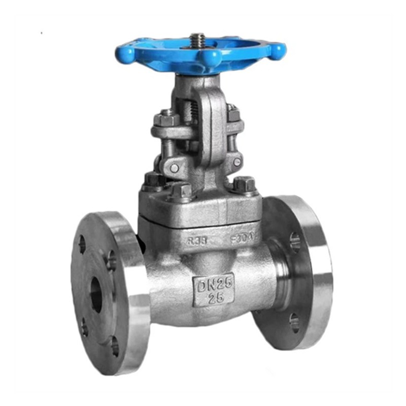 ASTM A182 F304 Gate Valve, API 602, DN25, PN25, Solid Wedge