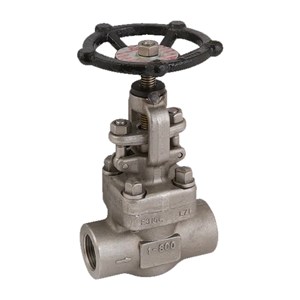 ASTM A182 F304 Globe Valve, API 602, 1 Inch, 800 LB, SW