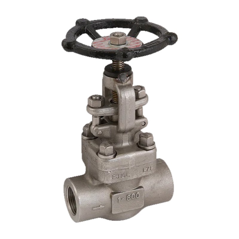 ASTM A182 F304 Globe Valve, API 602, 1 Inch, 800 LB, SW