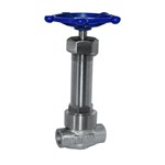 ASTM A182 F304 Globe Valves, API 602, 1/2 IN, CL800 LB, NRS