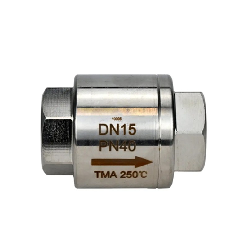 ASTM A182 F304 Vertical Check Valve, SS, DN15, PN40, NPT