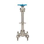 ASTM A182 F304L Gate Valve, API 602, 1 IN, 600 LB, Cryogenic