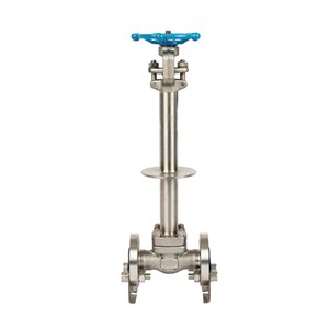 ASTM A182 F304L Gate Valve, API 602, 1 IN, 600 LB, Cryogenic