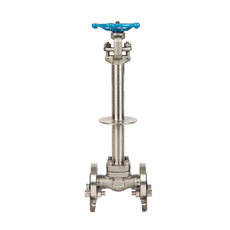 ASTM A182 F304L Gate Valve, API 602, 1 IN, 600 LB, Cryogenic