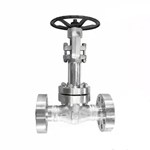 ASTM A182 F316 Cryogenic Gate Valve, API 602, 1 Inch, CL2500