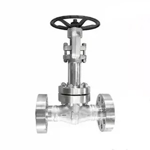 ASTM A182 F316 Cryogenic Gate Valve, API 602, 1 Inch, CL2500