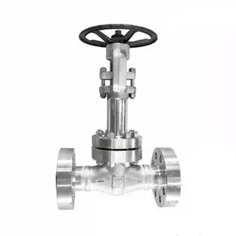 ASTM A182 F316 Cryogenic Gate Valve, API 602, 1 Inch, CL2500