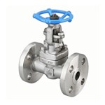 ASTM A182 F316 Globe Valve, API 602, 1 Inch, 800 LB, RF