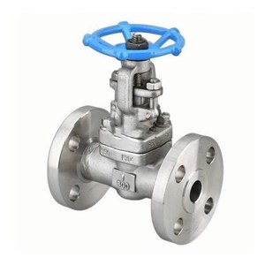 ASTM A182 F316 Globe Valve, API 602, 1 Inch, 800 LB, RF