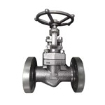 ASTM A182 F316 Globe Valve, API 602, DN50, PN160, RF