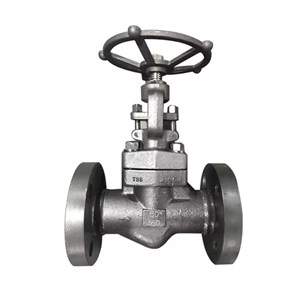ASTM A182 F316 Globe Valve, API 602, DN50, PN160, RF