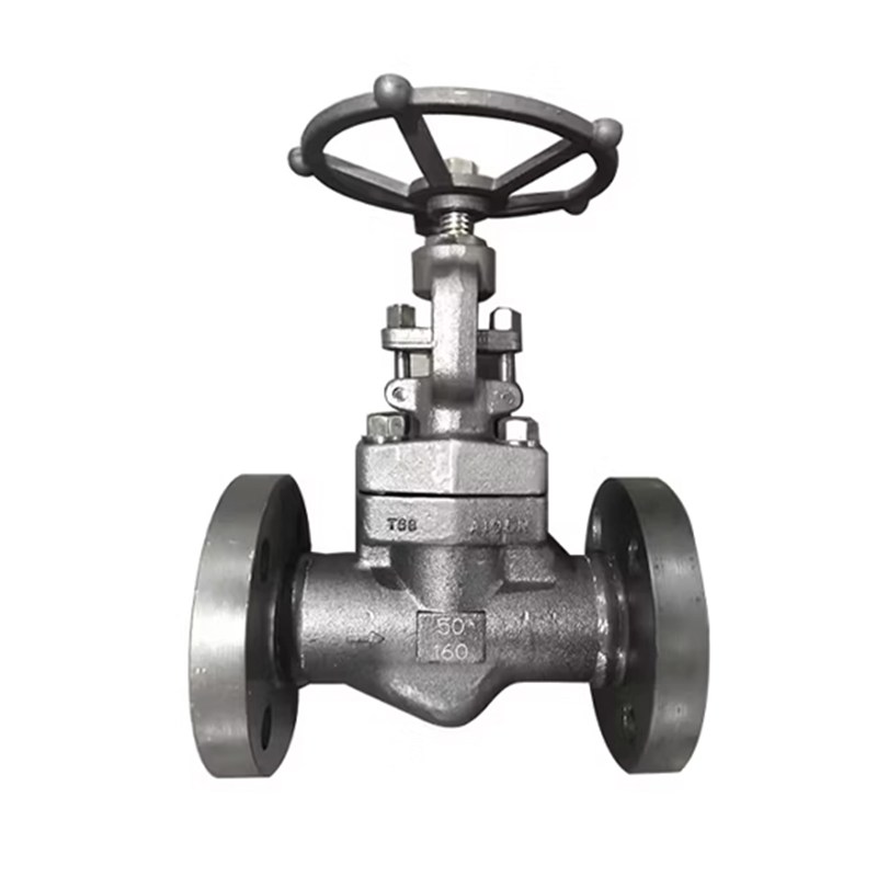 ASTM A182 F316 Globe Valve, API 602, DN50, PN160, RF