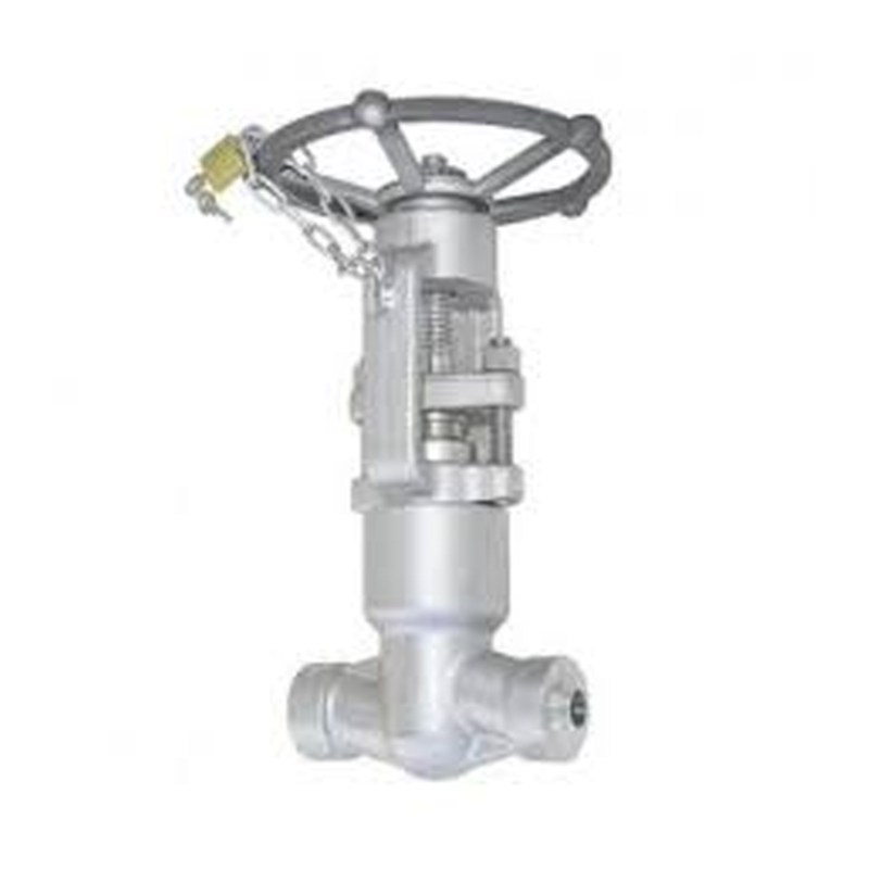 ASTM A182 F316 Globe Valves, API 602, 3/4 IN, 2500 LB, PSB, BW